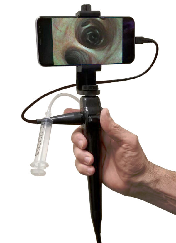 equine video endoscope