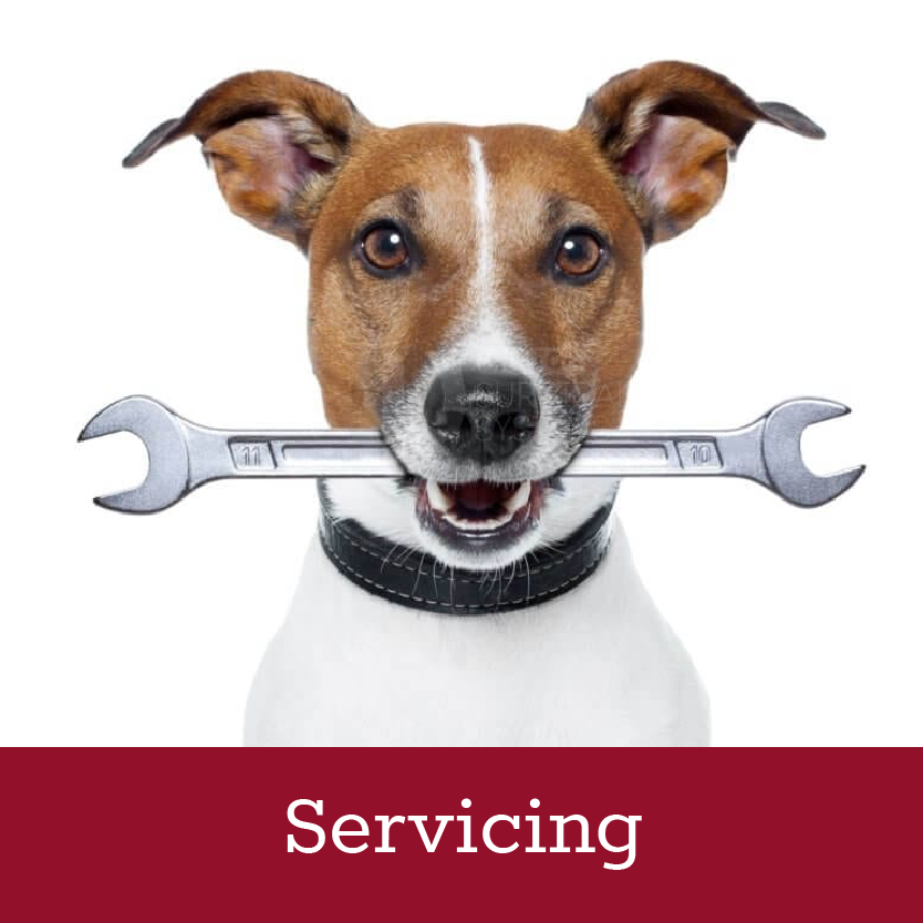 Veterinary equipment servicing