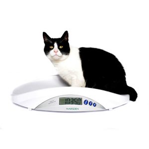 Small animal weighing scales